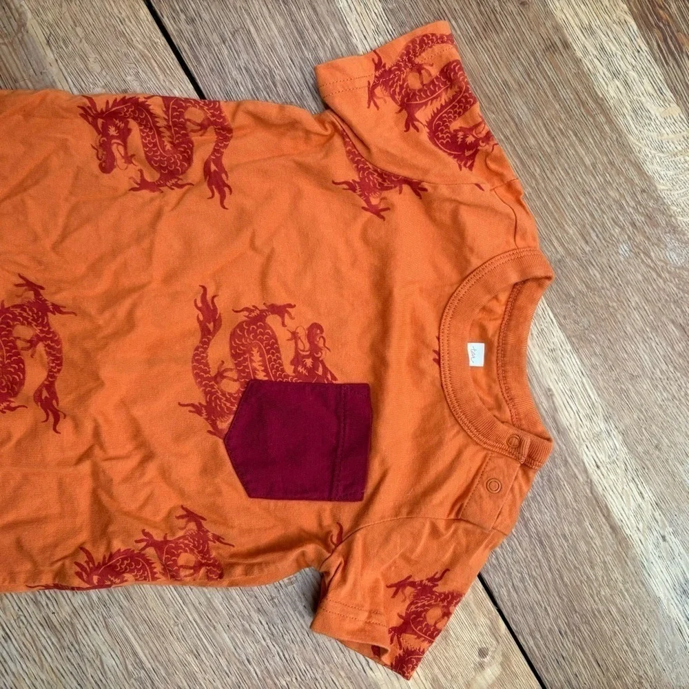 Tea Collection Dragon Pajamas 12-18m